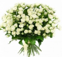 Bouquet of 101 white bush roses
